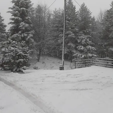 Planinski San Дивчибаре