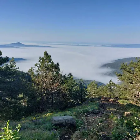 Апартаменты Planinski San Дивчибаре
