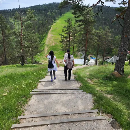 Planinski San Divčibare