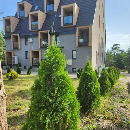 Apartment Planinski San
