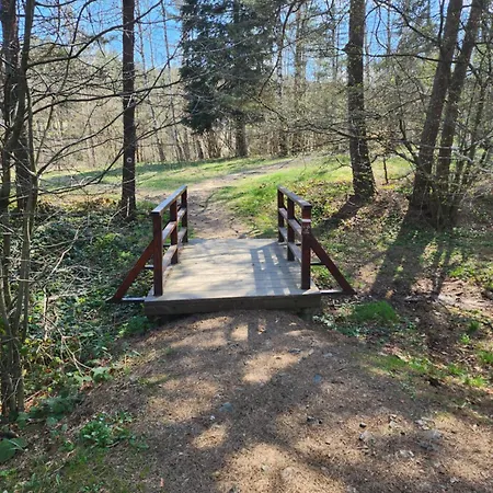 Апартаменты Planinski San Дивчибаре