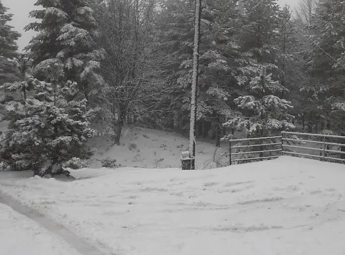 Planinski San Divčibare