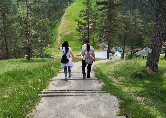 Planinski San Divčibare